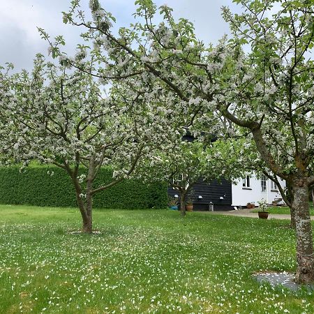 Tusindfrugt B&B Store Heddinge Dış mekan fotoğraf