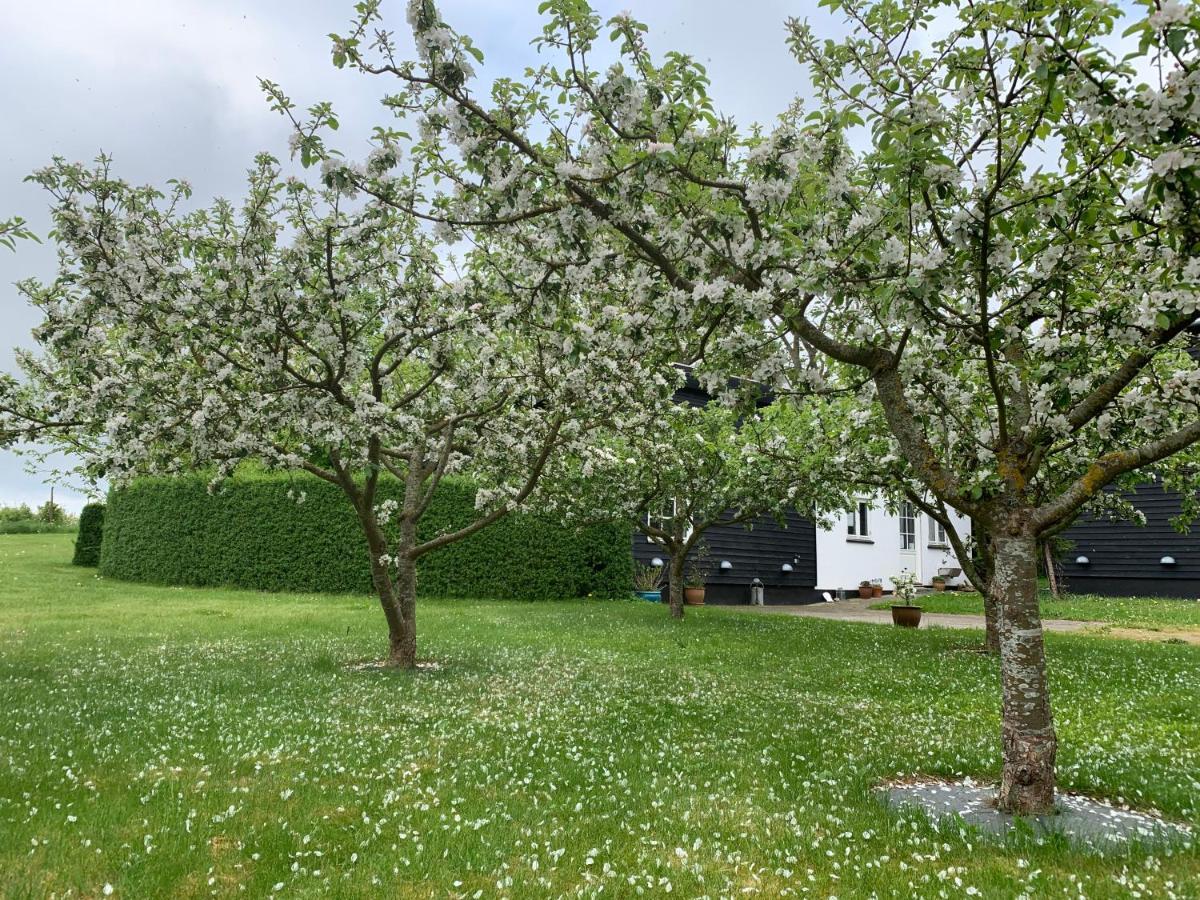 Tusindfrugt B&B Store Heddinge Dış mekan fotoğraf