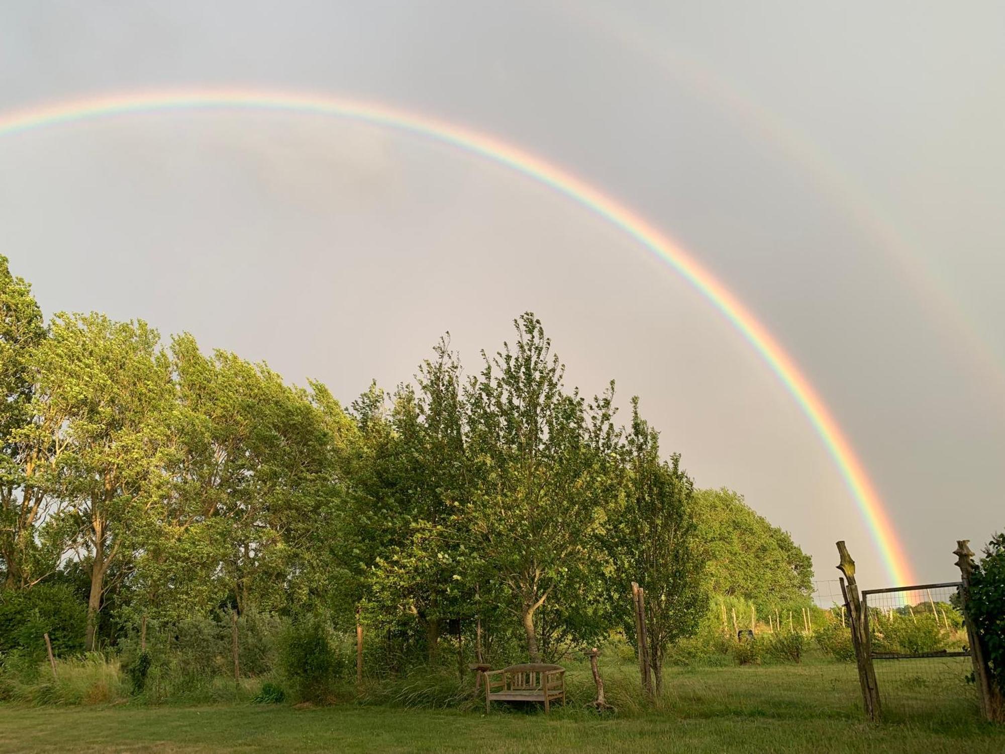 Tusindfrugt B&B Store Heddinge Dış mekan fotoğraf